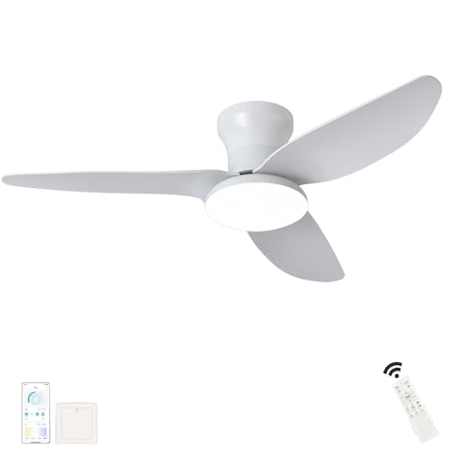 Dceinz Groß Deckenlampe mit Ventilator Wohnzimmer Dimmbar Fernbedienung LED Deckenleuchte mit Ventilator Reversibel Leise DC Lampe Mit Deckenventilator Smart Modern für Schlafzimmer, Salon-Black von Dceinz