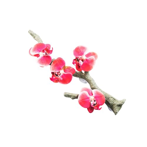 Dcfbkl Reptilien-Saugnapf, Aquarium-Dekoration, lebensechte Kletterrebe für Eidechsen, Reptilien-Zubehör Dcfbkl Reptilien-Saugnapf, Aquarium-Dekoration, lebensechte Kletterrebe für Eidechsen, Reptilien-Zubehör von Dcfbkl