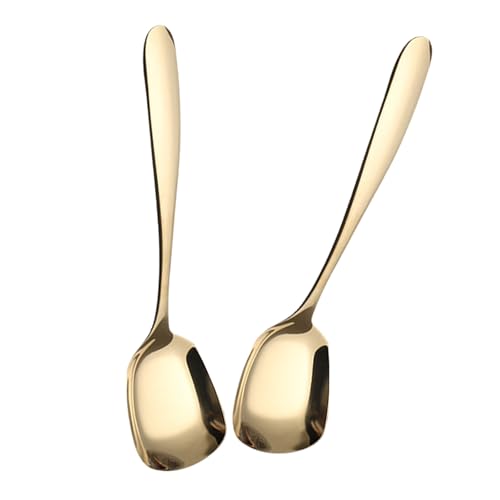 Set mit 2 Mehrzweck-Löffeln aus Edelstahl mit modernem quadratischem Kopf für Cafés und Dinnerpartys, ergonomischer Griff von Dcfbkl