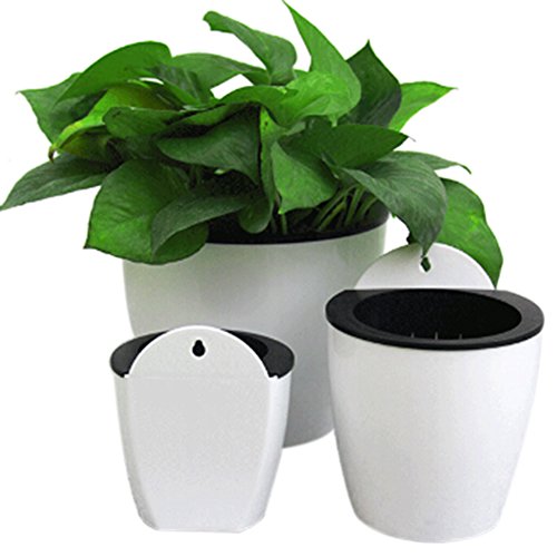 Ddfly Selbstbewässernder Blumen-/Pflanzentopf aus Kunststoff zum Aufhängen an der Wand mit herausnehmbarem Korb und Baumwollseil für Innen- und Außenpflanzen – 1 Packung, weiß, Large Ddfly Selbstbewässernder Blumen-/Pflanzentopf aus Kunststoff zum Aufhängen an der Wand mit herausnehmbarem Korb und Baumwollseil für Innen- und Außenpflanzen – 1 Packung, weiß, Large von Ddfly