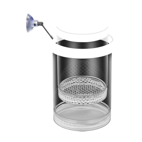 Ddujbtp Kompakte Klare Schwimmende Fischzuchtbehälter Für Meeresleben Plastikfisch Fischtanks Isolation Brüterei Inkubator Aquakultur Isolation Box Ddujbtp Kompakte Klare Schwimmende Fischzuchtbehälter Für Meeresleben Plastikfisch Fischtanks Isolation Brüterei Inkubator Aquakultur Isolation Box von Ddujbtp