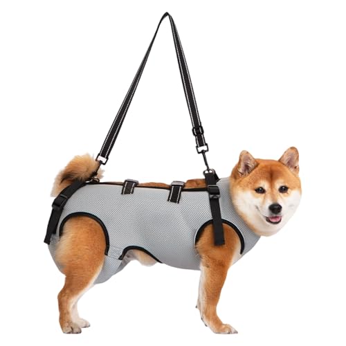 Reflektierende Hundekabelbaumleuchten Für Behindertes Haustier Mit Einstellbarer Bruststütze Und Gepolsterten Behinderungen Mit Einstellbaren Geräten Reflektierende Hundekabelbaumleuchten Für Behindertes Haustier Mit Einstellbarer Bruststütze Und Gepolsterten Behinderungen Mit Einstellbaren Geräten von Ddujbtp
