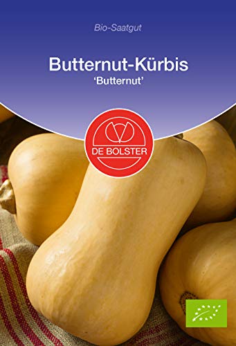 De Bolster Samen Butternutkürbis, süßer und lagerfähiger Speisekürbis, 3 Packungen Bio-Saatgut von De Bolster