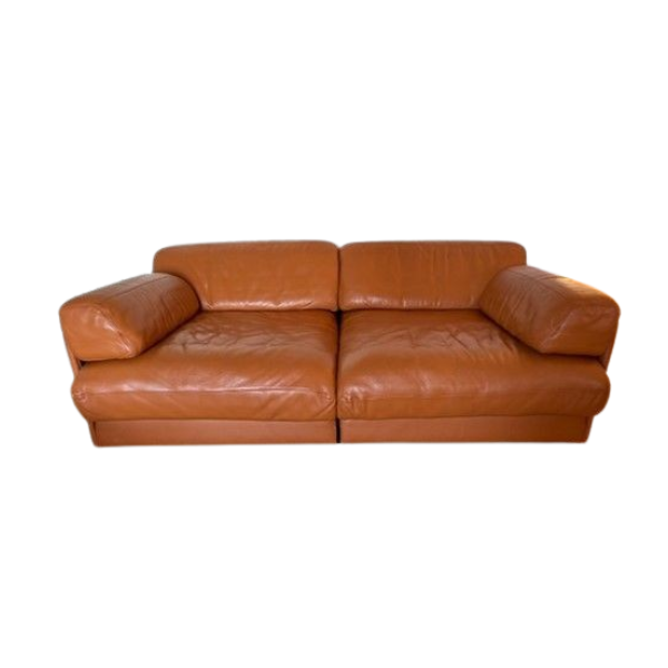 DS 76 Modulares 2-Sitzer Leder sofa von, De Sede von De Sede