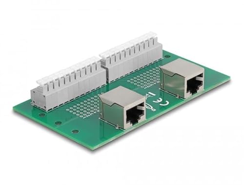 DeLOCK RJ50 2 x Buchse auf 2 x Klemmenblock mit Druckknopf für DIN-Schiene Marke von DeLOCK