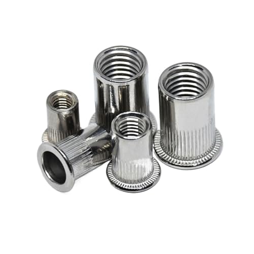 DeVow 5/20 STÜCKE 304 Edelstahl M3 M4 M5 M6 M8 M10 M12 Flachkopf-Nietmutter Vertikale Streifen Zylindrische Zugkappe(M4(20pcs)) von DeVow
