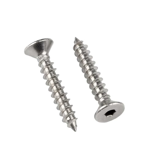 DeVow Flachkopf-Innensechskant-Blechschrauben M2 M2.5 M3 M3.5 M4 M5 M6 304 Edelstahl-Inbusschraube for Holz(16mm,M2.5-(100pcs)) von DeVow