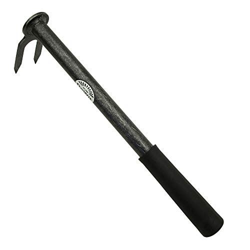 DeWit Handhacke aus Borstahl mit 2 Zinken 35 cm I Profi Gartenhacke I Premium Garten-Zubehör zum Unkraut entfernen & Boden lockern I Garten-Tool in Bester Qualität I Garden Tools – Made in Holland DeWit Handhacke aus Borstahl mit 2 Zinken 35 cm I Profi Gartenhacke I Premium Garten-Zubehör zum Unkraut entfernen & Boden lockern I Garten-Tool in Bester Qualität I Garden Tools – Made in Holland von DeWit