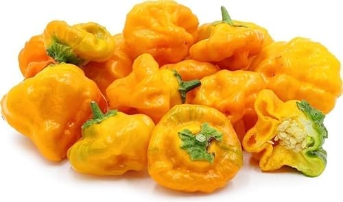 "Jamaica Yellow Mushroom" Chili Samen, Sehr Scharf, 100.000-350.000 Scoville, 5 Samen von DeaMia