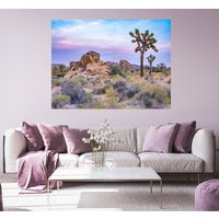 Joshua Tree Nationalpark | Kaktus Wüste Baum Fotografie Gfx 100 Sonnenuntergang von DeanMayoPhotography