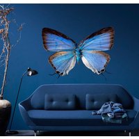 3D Schmetterling Wandaufkleber, Wand-Dekor von DecalTrend