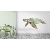 Wandtattoo Schildkröte/ Schildkröte | K693 von DecalsByXeniya