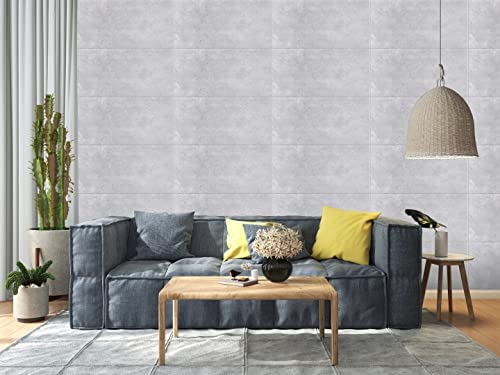 DECCART Wand-Paneele in Betonoptik, Deckenpaneele, Wandverkleidung Deckenverkleidung mit Beton-Imitat 6914XL - 40 Stück, Wandplatten in Grau aus Polystyrol - 20m2 von Deccart