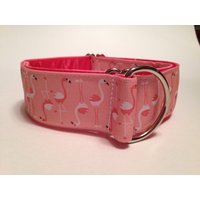 1.5 "& 2" Flamingos Spaß Hundehalsband von DeckerDawgDesigns