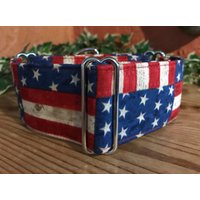 Bunt-Weißes Martingale Stoffhalsband von DeckerDawgDesigns
