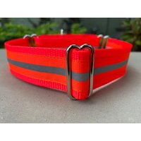 Reflektierendes Neon Hundehalsband von DeckerDawgDesigns