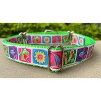 Sommerspaß Hundehalsband von DeckerDawgDesigns