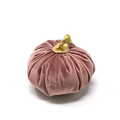 Declea Home Decor FT010FW21-small-Pink Dekorative Kürbis, Wildleder, Pink, Piccolo von Declea Home Decor