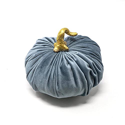 Declea Home Decor FT011FW21-small-Azzurro Polvere Dekorative Kürbis, Wildleder, Staubblau, Piccolo von Declea Home Decor