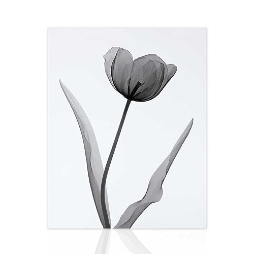 Declea Modernes Gemälde Pure Flowers Druck in Schwarzweiß - Wohnzimmermöbel Hochwertiger Druck von Declea