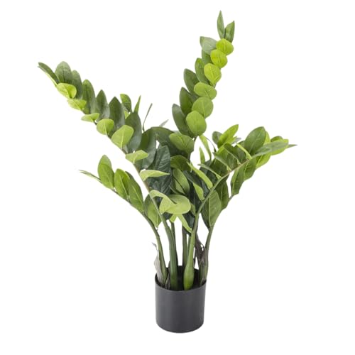 Deco Woerner Künstliche Glücksfeder im Topf 70 cm Kunstpflanze Glücksfeder Zamioulcas künstliche Zimmerpflanze von Deco Woerner