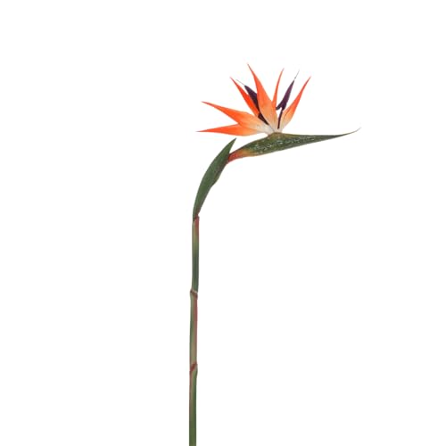 Deco Woerner Künstliche Strelitzien Kunstblume orange 14 x 84 cm Deko Blume Paradiesvogelblume Kunstblume Kunstpflanze von Deco Woerner