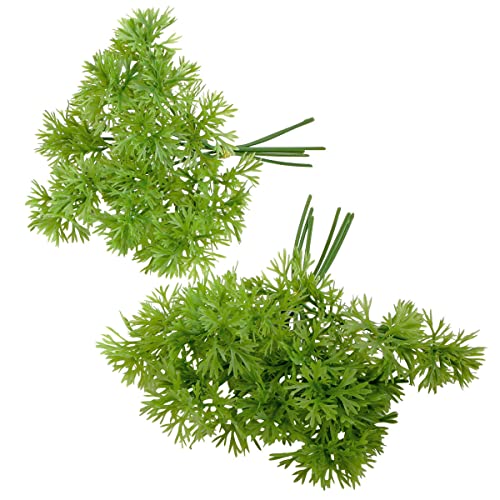 Deco Woerner Lebensmittel-Attrappe Petersilienbund 2 Pack á 6 STK. Künstliches Petersilienbund Naturgetreue Petersilie Fake-Petersilie Petersilien-Imitat Food Dummy Deco Woerner Lebensmittel-Attrappe Petersilienbund 2 Pack á 6 STK. Künstliches Petersilienbund Naturgetreue Petersilie Fake-Petersilie Petersilien-Imitat Food Dummy von Deco Woerner