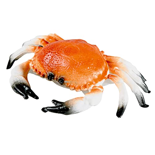Deko-Krabbe 20 cm Ø orange 1 Stück Dekorationsbedarf Naturgetreue Lebensmittel Attrappe - Künstliche Krabbe- Food Dummy Plastikessen - Dekoration von Deco Woerner