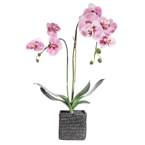 Deko Orchidee im Topf rosa 80 cm Deko-Orchidee Kunstblume Kunst-Orchidee Kunstpflanze mit 7 Blüten von Deco Woerner