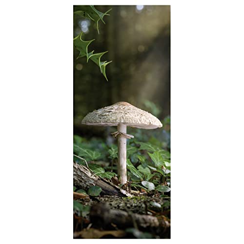 Hochwertiges Herbst Banner,Großer Pilz' 75 x 180 cm braun Textil-Banner Stoff-Display zum Hängen Wanddeko Banner Dekoration Herbstdeko Hochwertiges Herbst Banner,Großer Pilz' 75 x 180 cm braun Textil-Banner Stoff-Display zum Hängen Wanddeko Banner Dekoration Herbstdeko von Deco Woerner