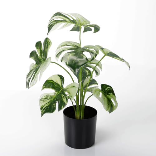 Künstliche Deko Monstera im schwarzen Topf 37 cm grün Kunstpflanze Künstliche Monstera Deko Topfpflanze Deliciosa Albo Variegata von Deco Woerner