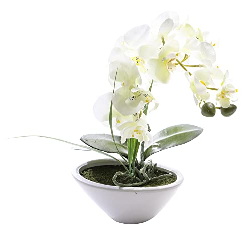 Künstliche Orchidee im Topf Deko-Orchidee Dekoblumen Kunstblume weiß 28 cm Dekoration Künstliche Orchidee im Topf Deko-Orchidee Dekoblumen Kunstblume weiß 28 cm Dekoration von Deco Woerner