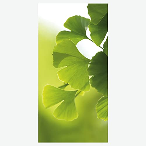 Textilbanner Dekobanner Stoffbanner Stoffposter grüne Ginkgo-Blätter 100 x 200 cm von Deco Woerner