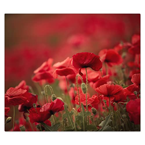 DecoCat Glas-Herdabdeckplatte Ceranfeld Kochfeldabdeckung Herdabdeckung Induktionsschutz Schneideplatte 60x52 cm Einteilig Mohnblumen Rot von DecoCat