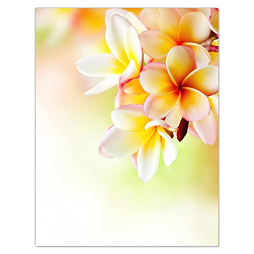 DecoCat Herdabdeckplatte Ceranfeld 40x52 cm Einteilig Plumeria Blumen Orange (01304) Schneideplatte Glas Kochfeldabdeckung Herdabdeckung Induktionsschutz von DecoCat