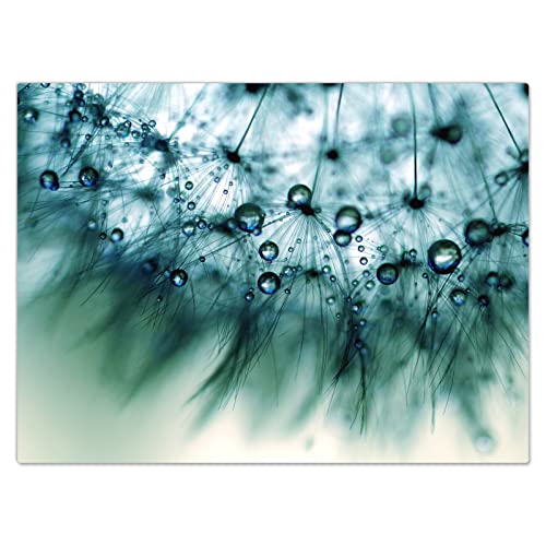 DecoCat Herdabdeckplatte Ceranfeld 70x52 cm Einteilig Pusteblume Tautropfen Blau (02296) Schneideplatte Glas Kochfeldabdeckung Herdabdeckung Induktionsschutz von DecoCat