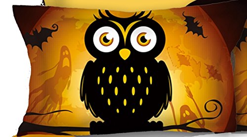 DecoKing 2 Kissenbezüge 80x80 cm Kinder Eule Microfaser Reißverschluss Owls Ghost Story orange schwarz von DecoKing