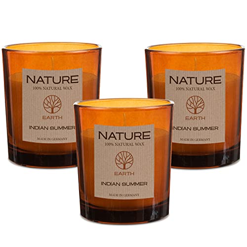 3 x Duftkerze im Glas Nature Earth Sense of Nature 100% NATURAL WAX, 85/70 mm - 25 Stunden Brenndauer. Nachhaltig und höchste Qualität (Indian Summer) von DecoLite