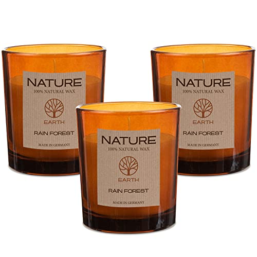 3 x Duftkerze im Glas Nature Earth Sense of Nature 100% NATURAL WAX, 85/70 mm - 25 Stunden Brenndauer. Nachhaltig und höchste Qualität (Rain Forest) von DecoLite