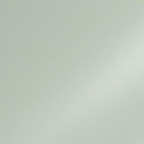 DecoMeister Klebefolien Deko-Folien Einfarbig Selbstklebefolie Laufmeter Dekorative Möbelfolie Selbstklebend Folie für Möbel nach Maß Einheitliche Farbe 45x50 cm Blass Grün Matt von DecoMeister