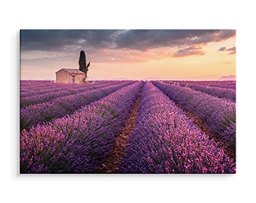 DecoNest - Bild auf Leinwand gedruckt - Blühendes Lavendelfeld in der Provence - 120X80 cm Malerei für Wohnzimmer, Schlafzimmer, Küche - CANVAS von DecoNest