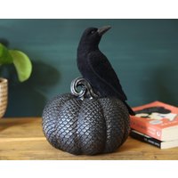 Krähe Auf Kürbis Ornament Schwarz Blau Ausgebogten Flock Krähe Auf Kürbis Ornament Schwarz Blau Ausgebogten Flock von DecoSachet