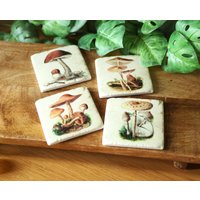 Pilze Untersetzer 4Er Set Keramikkork-Untersetzer von DecoSachet