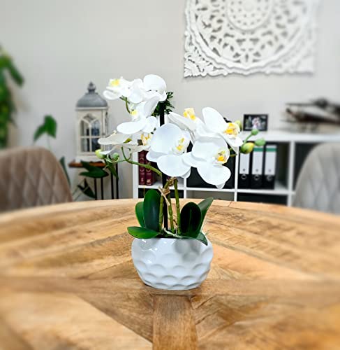 Decoline Künstliche Orchidee 33cm - Blüten weiß - Keramik Übertopf weiß von Decoline