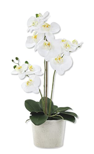 Decoline Künstliche Orchidee - Topf Beige XL - 55cm Blüten weiß von Decoline