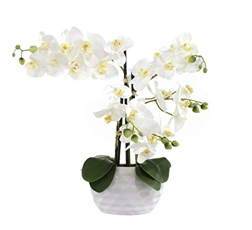 DECOLINE Kunstpflanze Orchidee XL mit Keramiktopf - ca. 53cm hoch (Blüten weiß - Topf weiß) von DECOLINE