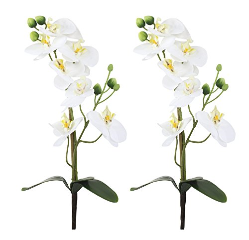 Decoline Orchideen-Zweig künstlich 2 Stück (A - mit Blättern 38cm) von Decoline