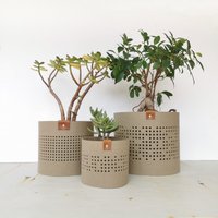 Filz-Blumentopfabdeckung, Filz-Blumentopfabdeckung Für Zimmerpflanzen, Innengeschenk, Wohnaccessoires, Pflanzendekor von DecomundoHome