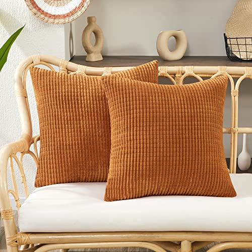 Deconovo Kissenbezug 40x40 Dekokissen Kordsamt Kissenhülle Dekorative Sofakissen Zierkissenhülle Super Weich Kissenbezüge Decor Kissenhüllen für Sofa Büro Couch Wohnzimmer, 40x40 cm, Orange, 2er Set von Deconovo