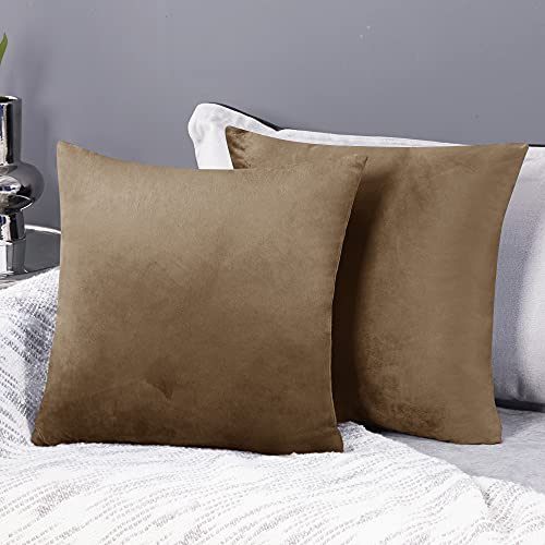 Deconovo 2er Set Samt Kissenbezüge Sofa Kissenbezug Zierkissenbezüge Weich Design Dekor Schlafzimmer Wohnzimmer Couch Büro, 40x40 cm, Hellbraun von Deconovo